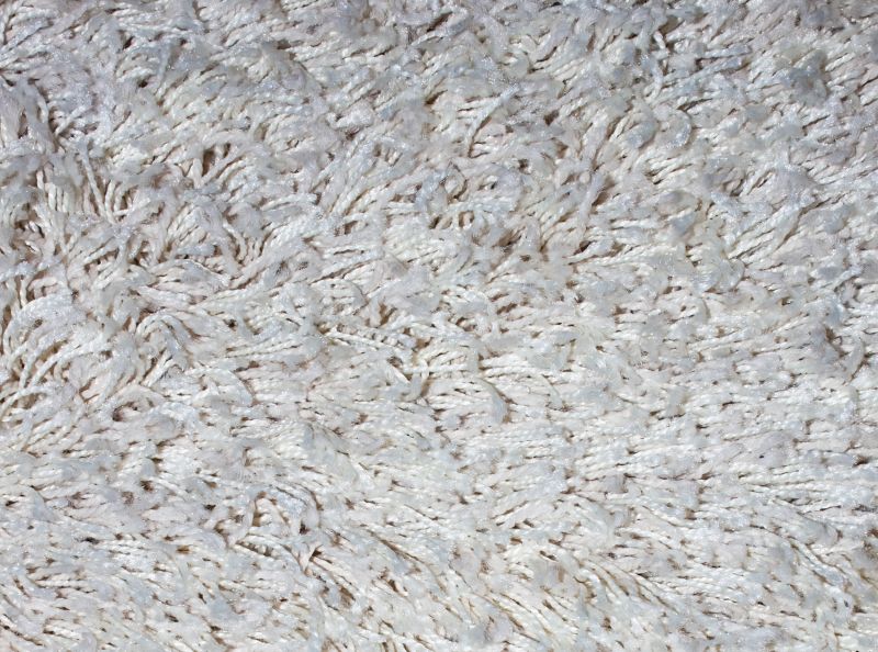 Pre-Holiday Carpet Cleaning